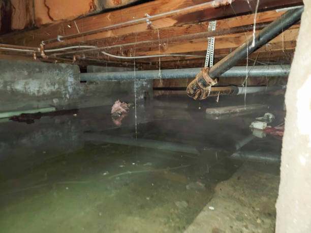 Best Water damage restoration near me  in Merrick, NY