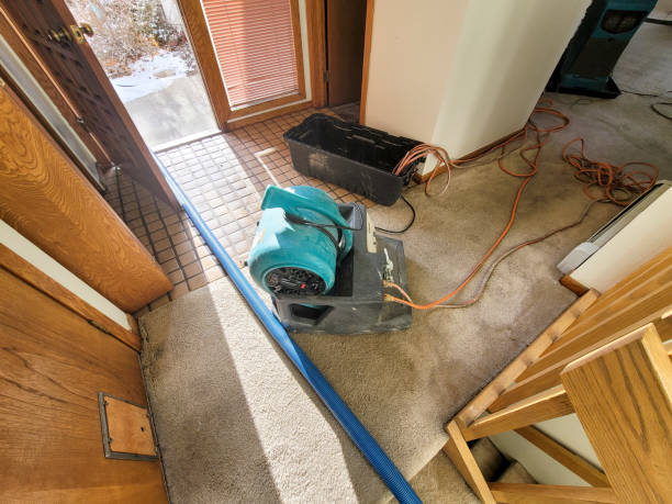 Carpet water damage restoration in Merrick, NY