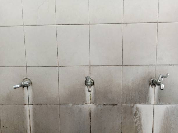 Best Mold removal after water damage  in Merrick, NY